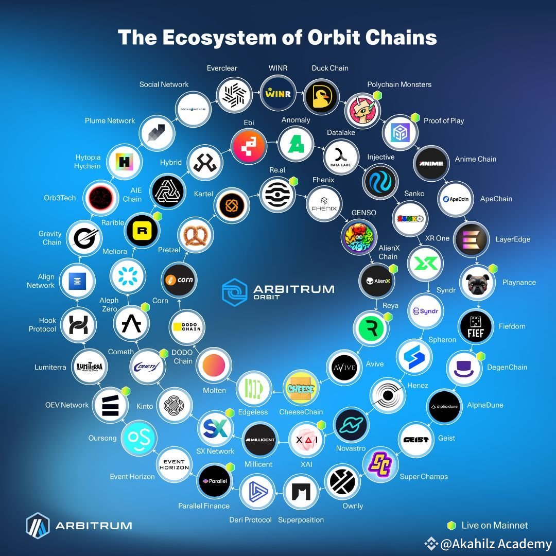 Arbitrum Orbit